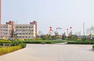 Xingtai Longjia Electronics Technology Co.,Ltd.
